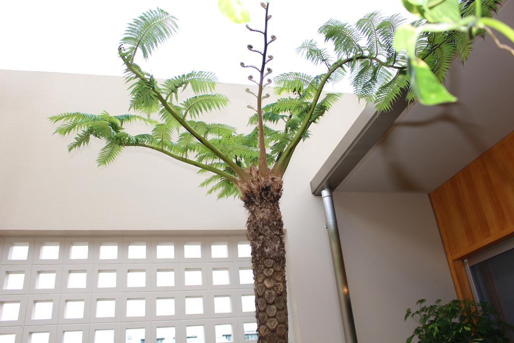 Coldio Mihama Bettei Yui No Ie Apartment Chatan Exterior photo